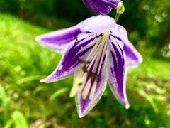 -重元寺香积厨素斋馆