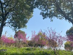 -东钱湖旅游度假区