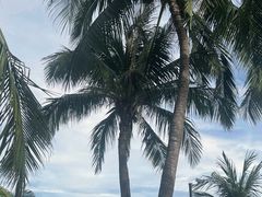 -三亚南山文化旅游区