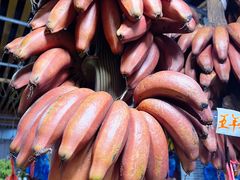 -南沙十九涌渔人码头-南门