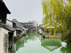 -乌镇西栅景区