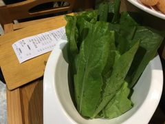 油麦菜-品臻牛鲜牛肉火锅(泰山路店)