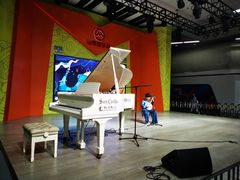 -小荧星艺校(浦东中环分校)