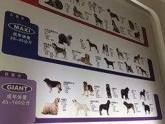 -创凡宠物医院·骨专科  猫科中心(西乡分院)
