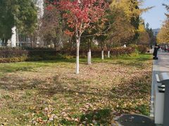 -东北大学(南湖校区)