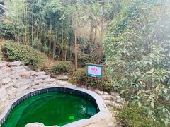 -江南天池高山汤泉城