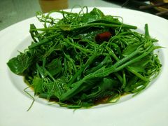 -上庄晋风庄园(上庄店)