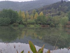 -石塘人家