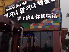 -信不信由你博物馆