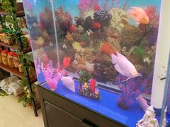 -许鲜生健康生活馆·精细潮菜(奥绅体育公园店)