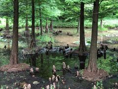 -南京市无想山景区