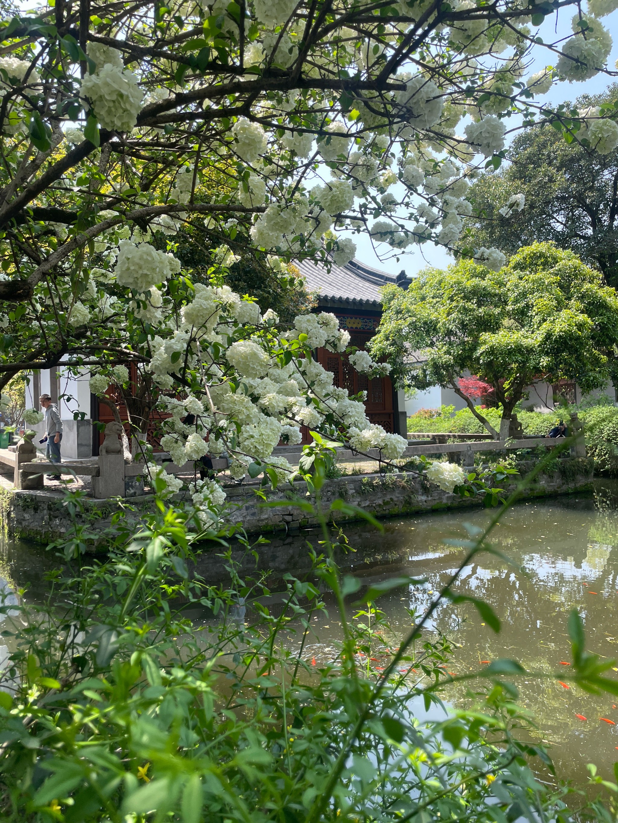 南京煦园平面图图片