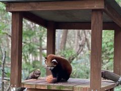 -可伦宾野生动物保护区