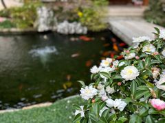 -径山寺