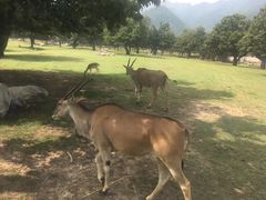 -西安秦岭野生动物园