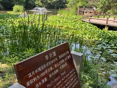 -天目湖山水园