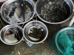 -东钱湖小普陀景区