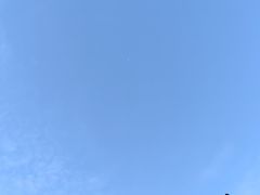 -武汉知音号