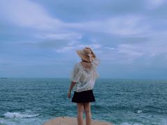 -广东惠东海龟国家级自然保护区