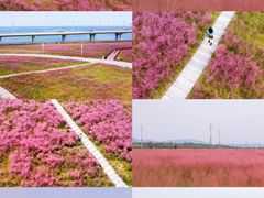 -烟台金沙滩海滨公园