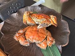 -花潮料理艺食馆(SM新生活广场店)