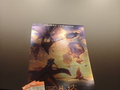 -华谊兄弟影院(IMAX洋桥店)