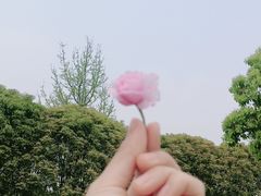 -宁波影都(鄞州印象城店)