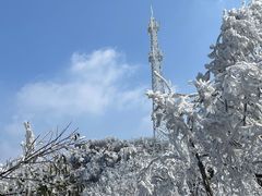 -紫金山山顶公园