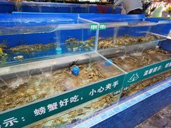 水产区-圣罗巴海鲜自助(黑金店)