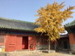 -历代帝王庙博物馆