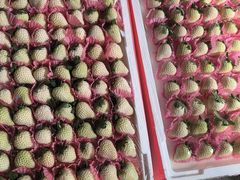-西郊国际农产品交易中心