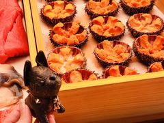 -鳥喜Toriki怀石烧鸟料理