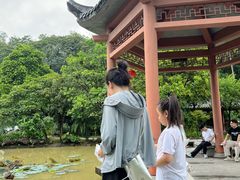 -广州神农草堂中医药博物馆
