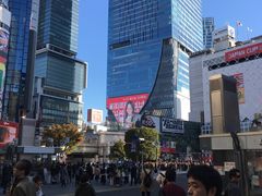 -涩谷全向十字路口