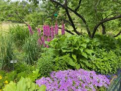 -国家植物园南园