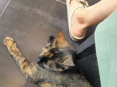 -EATALIA意塔利意式餐厅(鼓楼店)