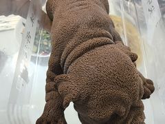 -醉霖生态餐厅(交大店)