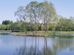 -大兴滨河森林公园