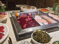 -二荆条·蜀鲜汇城市森林火锅