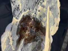 -上海西上海奥杰奥迪汽车销售有限公司(真如店)