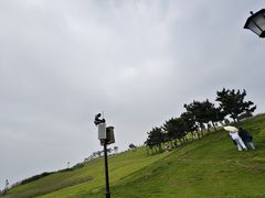 -小麦岛公园