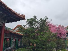 -珠海圆明新园