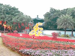 -荔湾湖公园