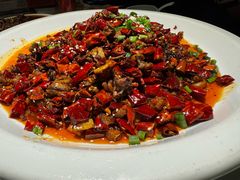 -院8里·小聚园(九眼桥店)