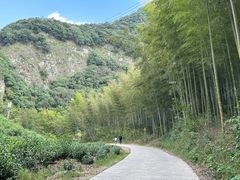 -水墨汀溪风景区