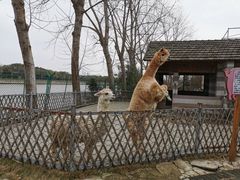 -太阳岛度假酒店