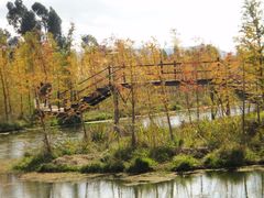 -呈贡滇池生态湿地公园
