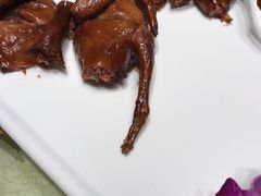 -成都芙蓉饭店蓉国食府·精品川菜·竹山珍·鱼鲜