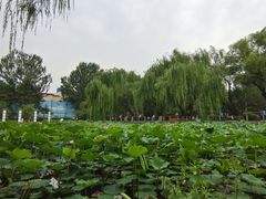 -满都海公园