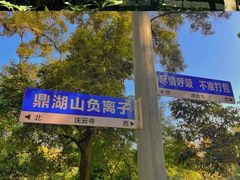 -鼎湖山风景区